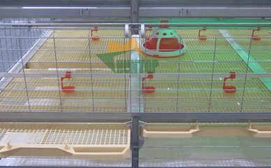 poultry feeder and drinker system